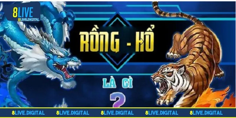 Cách chơi rồng hổ đơn giản với hai cửa đơn giản