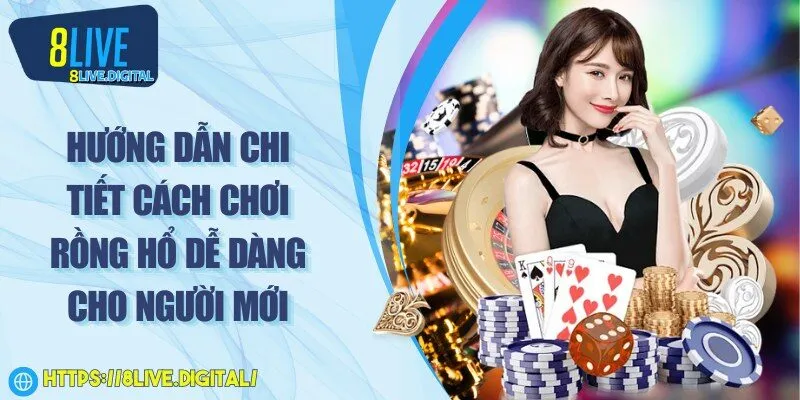 Hướng dẫn chi tiết cách chơi rồng hổ dễ dàng cho người mới