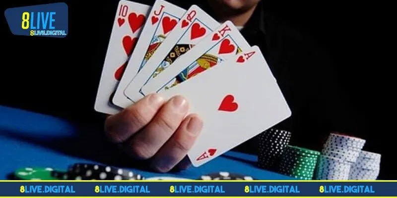 Các lá được chia đều cho mỗi người tham gia