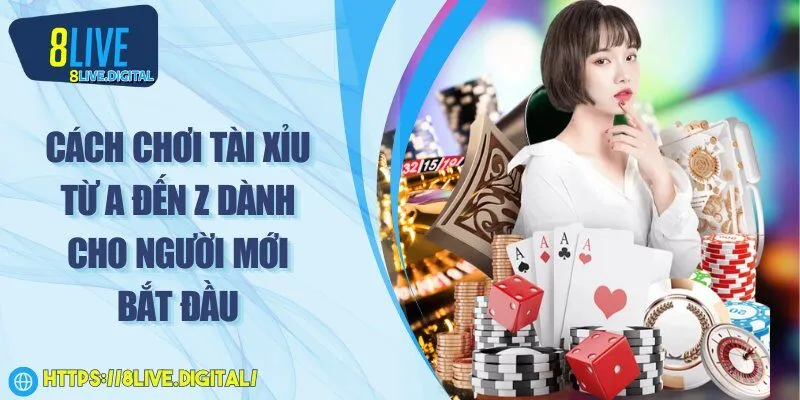 Cách chơi tài xỉu từ A đến Z dành cho người mới bắt đầu