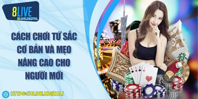 Cách chơi tứ sắc cơ bản và mẹo nâng cao cho người mới