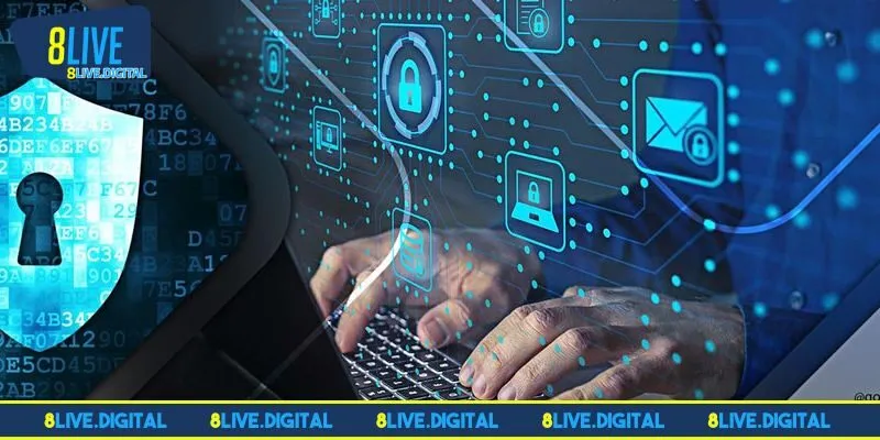 Mọi điều khoản điều kiện 8LIVE tân binh nên biết