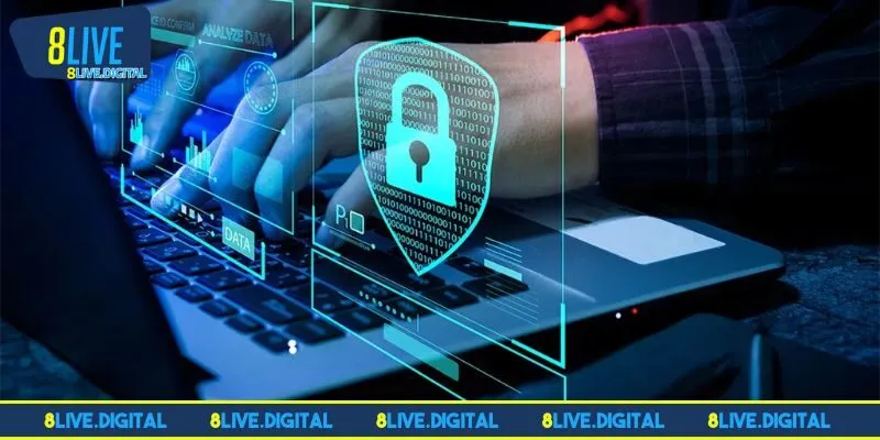 Tổng hợp các nội dung về quyền riêng tư 8LIVE